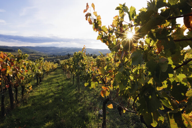 Marqués de Riscal